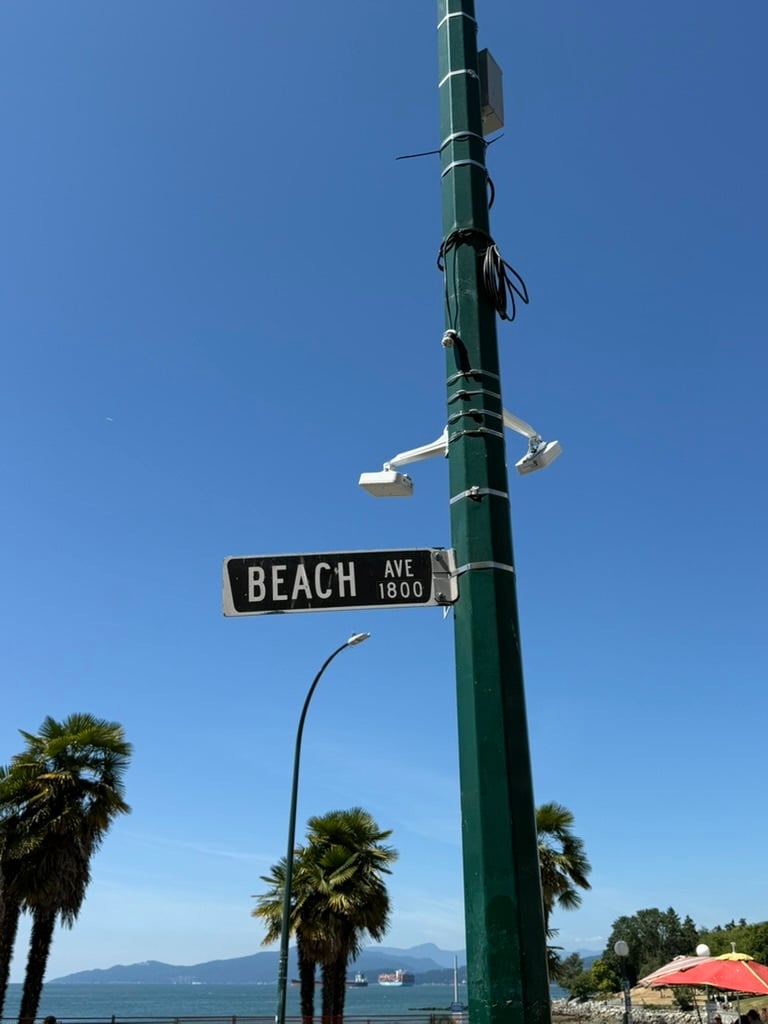 262894C8-E734-439D-A19F-DA80F6406BE6_1_105_c